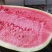 宁夏硒砂瓜