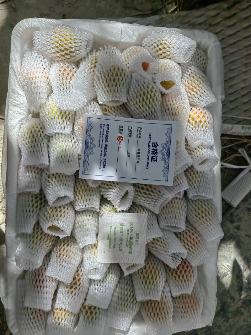 新疆阿克苏地区第一师四团吊干杏