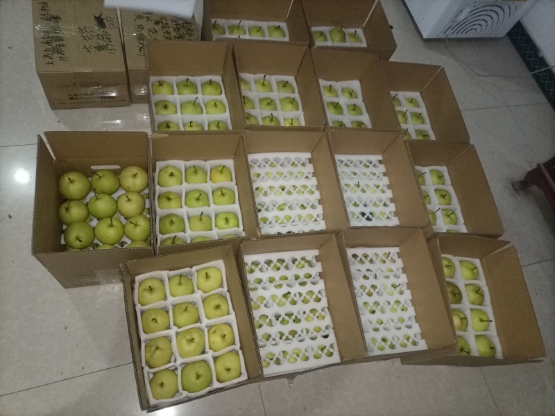 南天门酥脆密梨