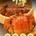 敢包蟹品质的成本是别人的5倍，精品批发