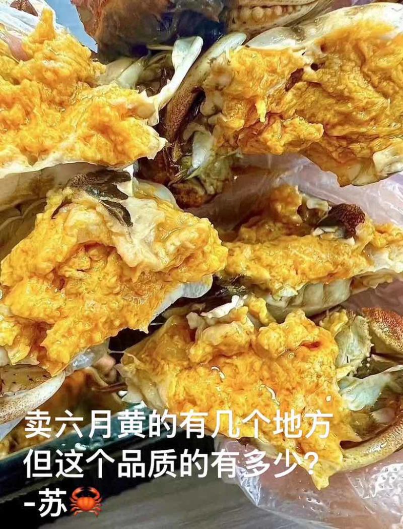 敢包蟹品质的成本是别人的5倍，精品批发