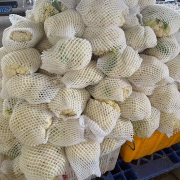 精品松花菜便宜