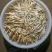 有象牙菜出售，规格:长号，中号，小号