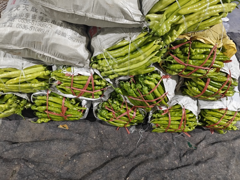 精品尖椒以质论价，精品，高统，统货，电商，食堂都有