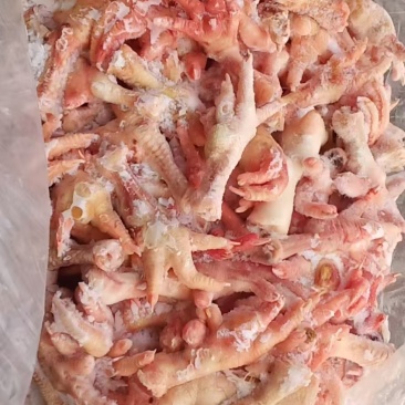 二级种鸡爪40来克1.5吨