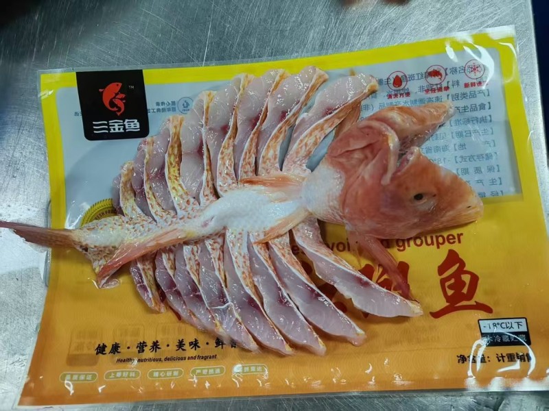开背红斑鱼功夫红斑鱼