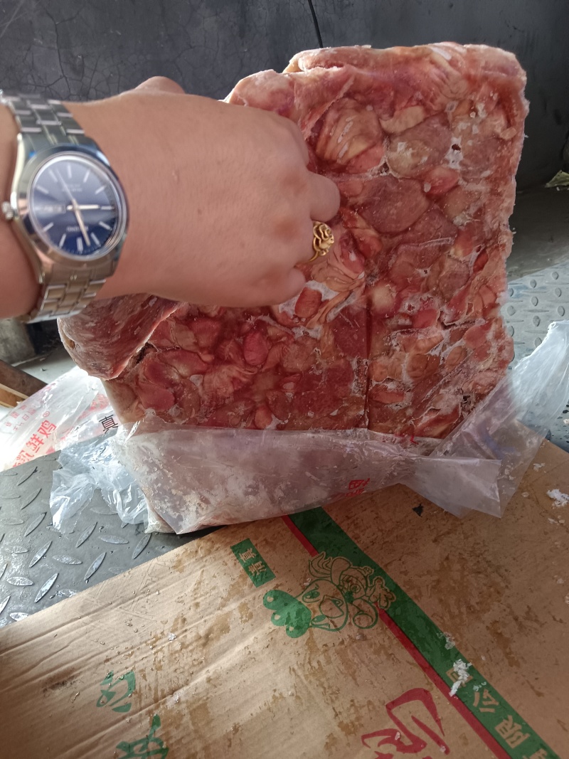 肉食带肚鸡胗，5吨多货，需要的老板来聊