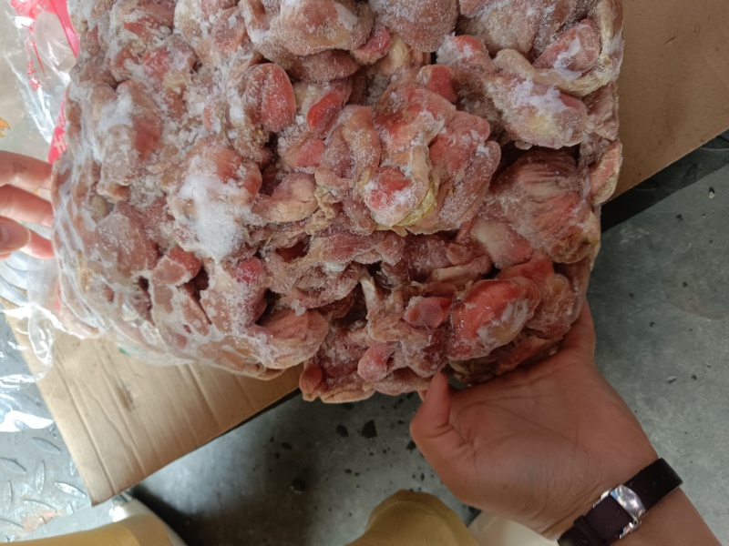肉食带肚鸡胗，5吨多货，需要的老板来聊