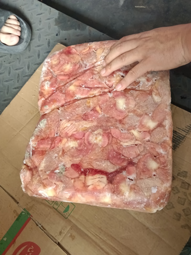 肉食带肚鸡胗，5吨多货，需要的老板来聊