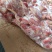 肉食带肚鸡胗，5吨多货，需要的老板来聊