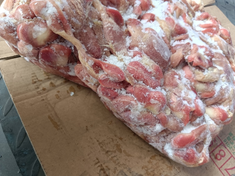 肉食带肚鸡胗，5吨多货，需要的老板来聊
