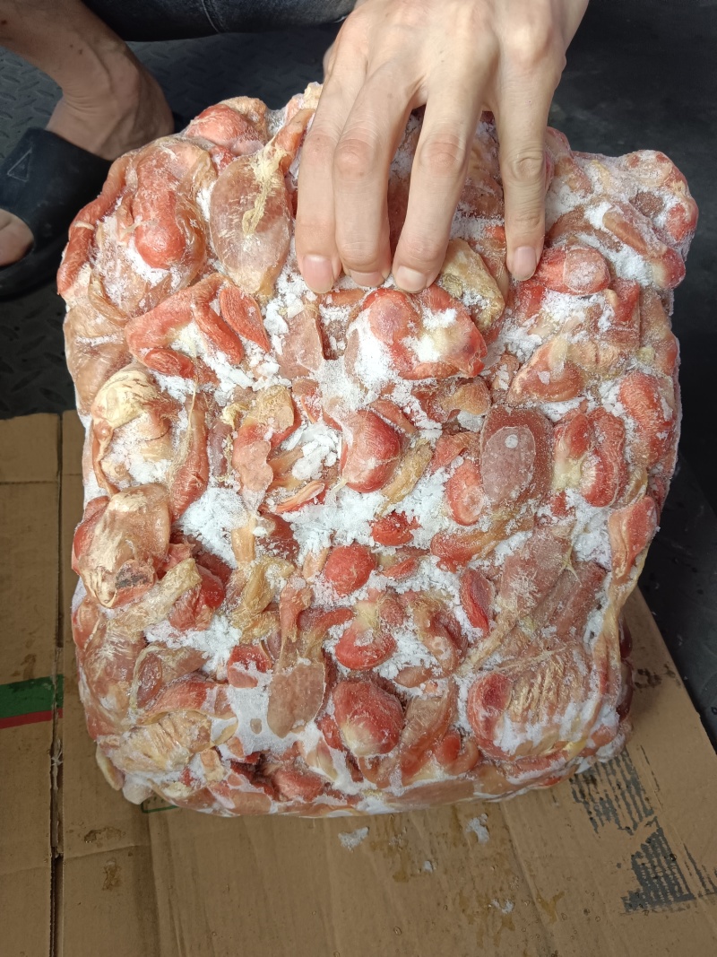 肉食带肚鸡胗，5吨多货，需要的老板来聊