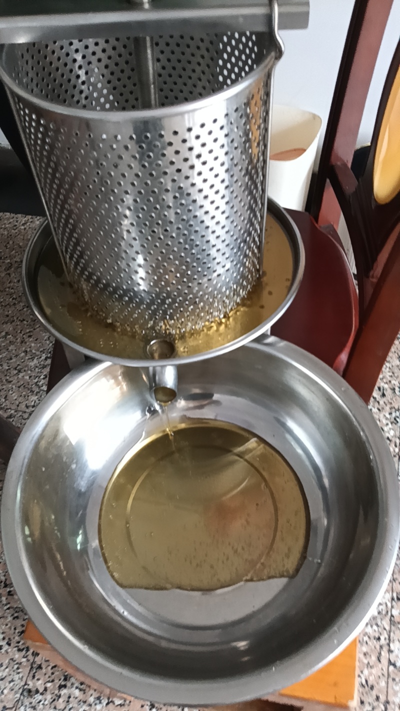 家里养的土蜂蜜