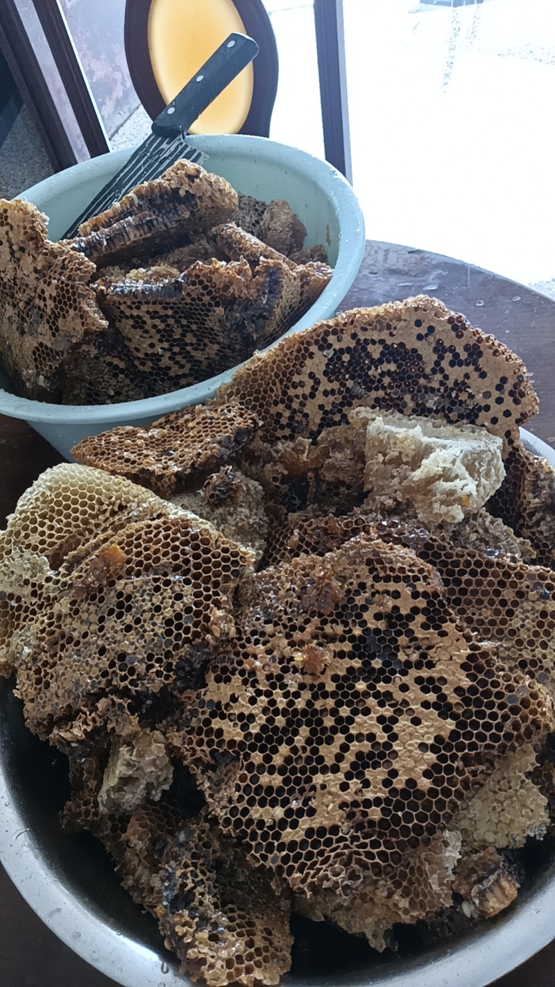 家里养的土蜂蜜