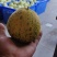 甜瓜🍈