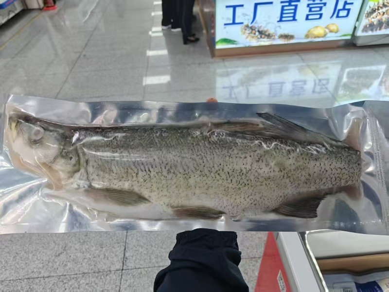 整条开背大白鱼(翘嘴)