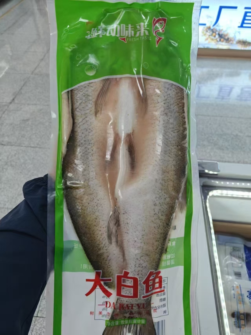整条开背大白鱼(翘嘴)