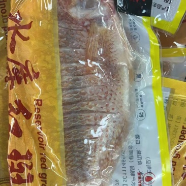 开背红斑鱼
