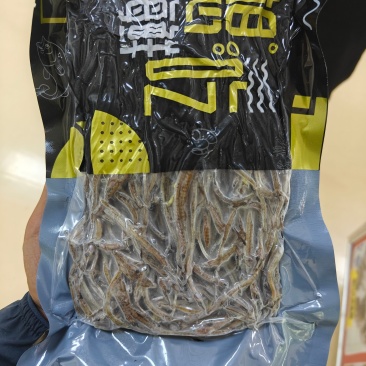 海龙鱼