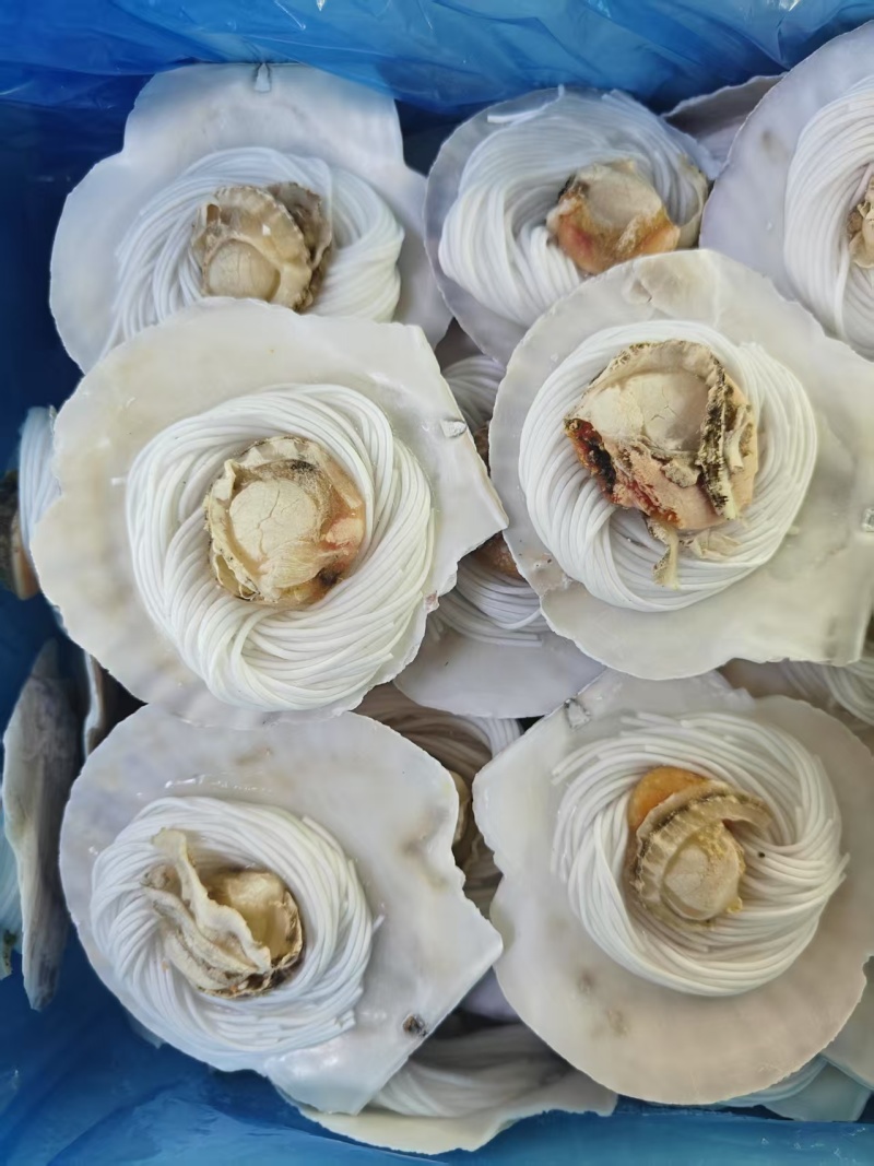 粉丝扇贝一箱80个，一箱100个，两种规格