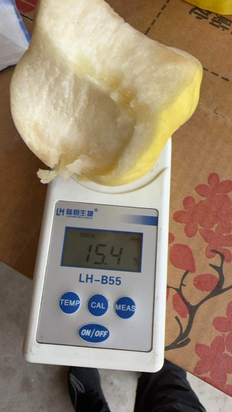 山东蒙阴白桃一件代发