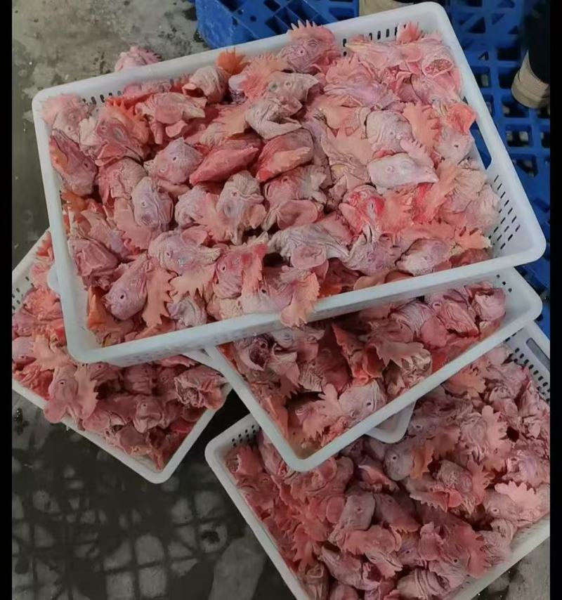 公鸡头，品质好，价格高，保质保量保放心。