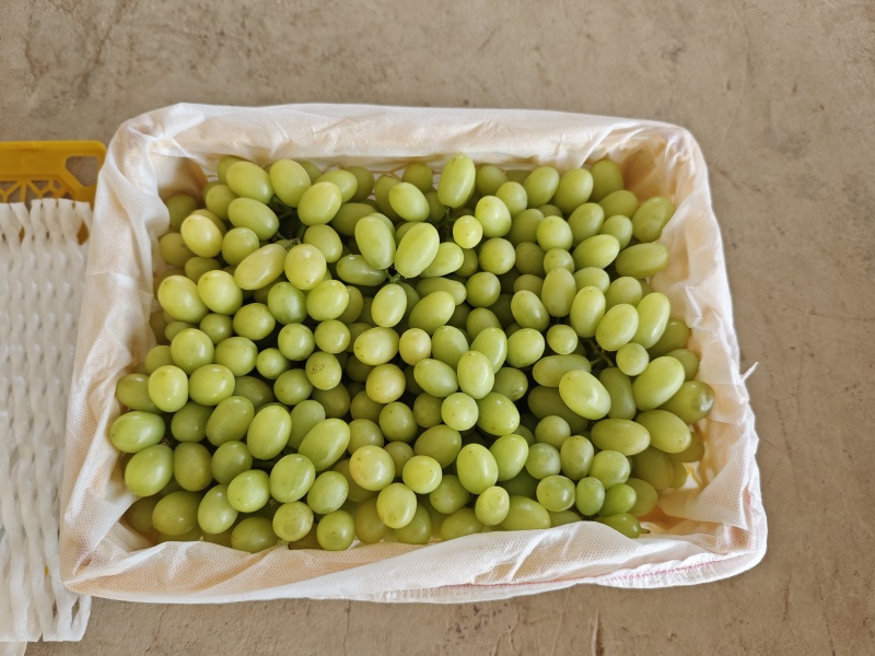 吐鲁番火焰山无核白