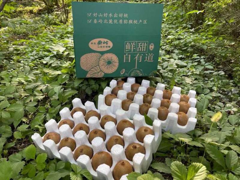 日供10万斤徐香猕猴桃，大面积上市商品果子，电商个大超市供应