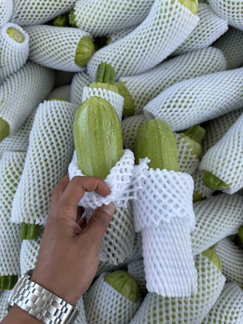 西葫芦