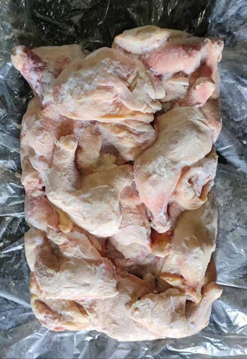 存货博发二级肉鸡排腿一车表价二十吨全接谈