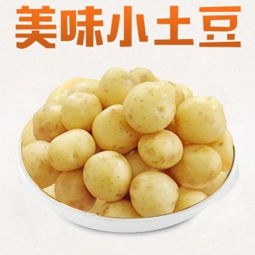 梁平区自家本地小土豆