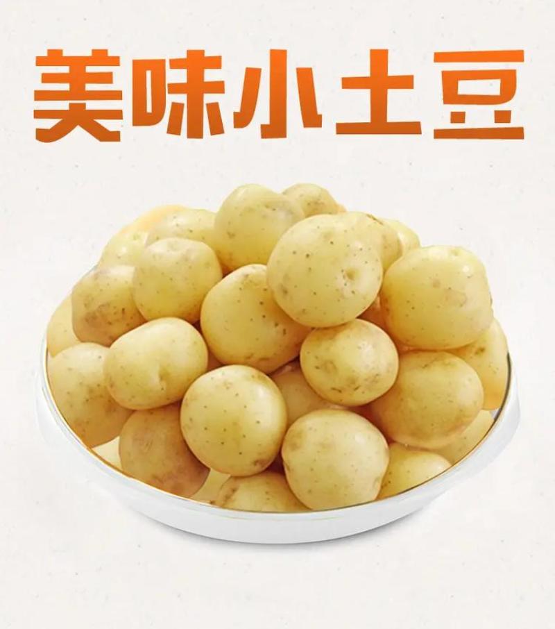 梁平区自家本地小土豆