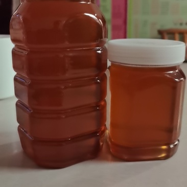 土蜂蜜