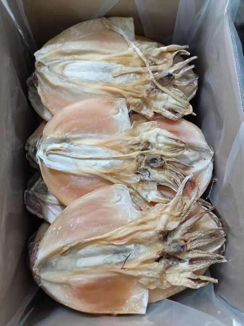墨鱼干6-8浙江本港墨鱼干，规格齐全欢迎选购
