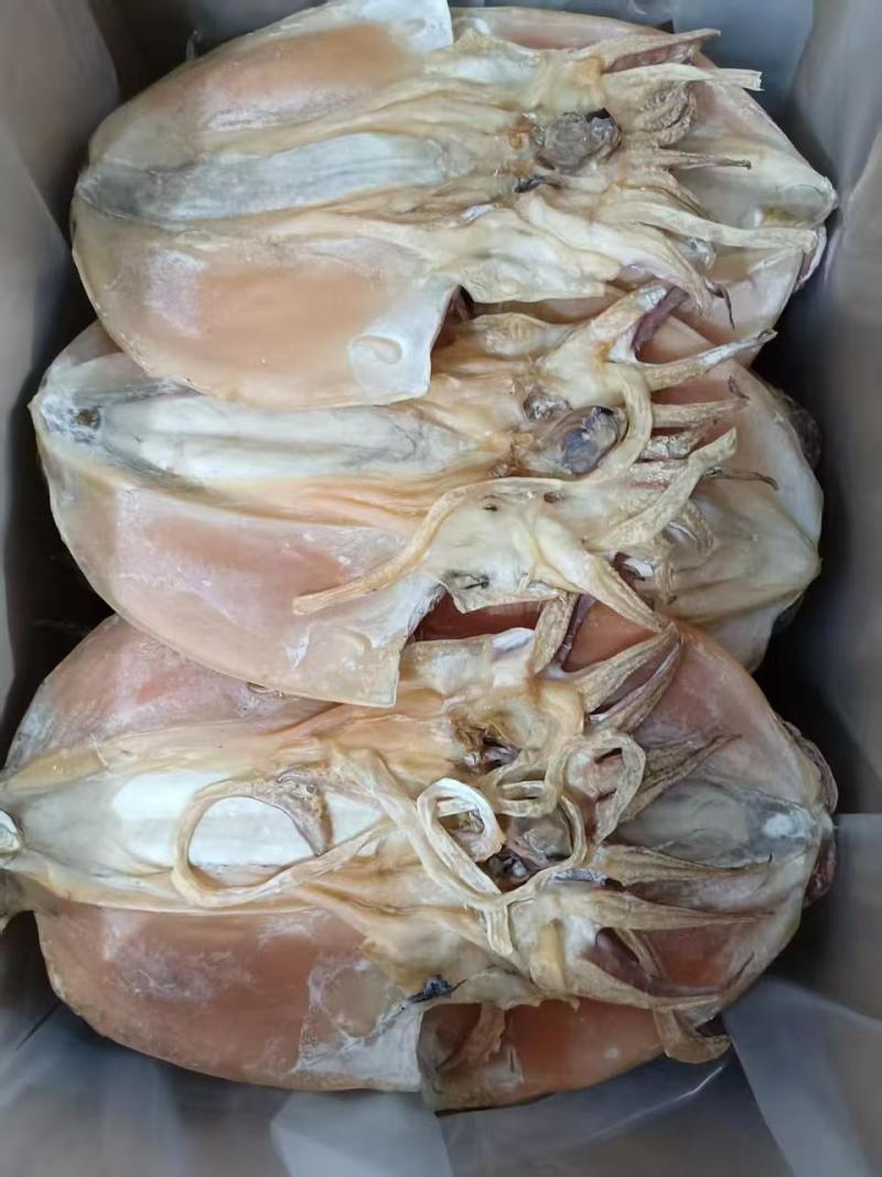 墨鱼干6-8浙江本港墨鱼干，规格齐全欢迎选购