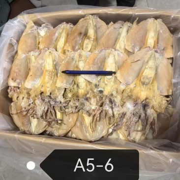 浙江本港墨鱼干5-6品质好，规格齐全，量大从优