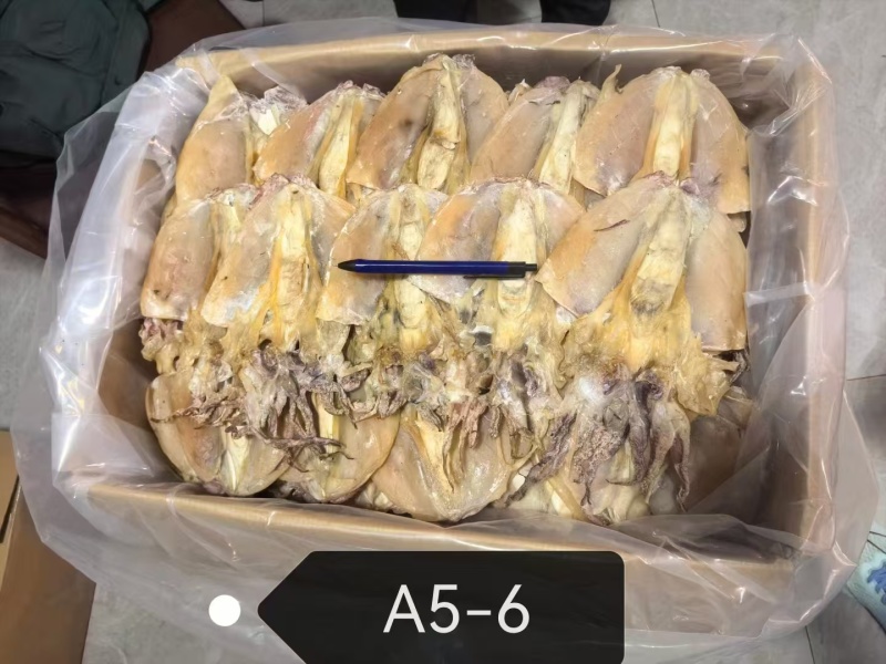 浙江本港墨鱼干5-6品质好，规格齐全，量大从优
