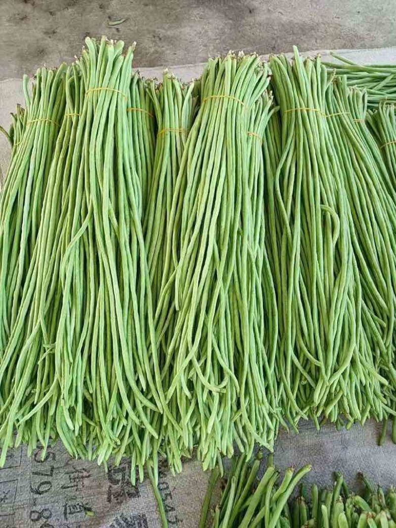 高山豇豆大量上市。保质保量交货。欢迎大家订购