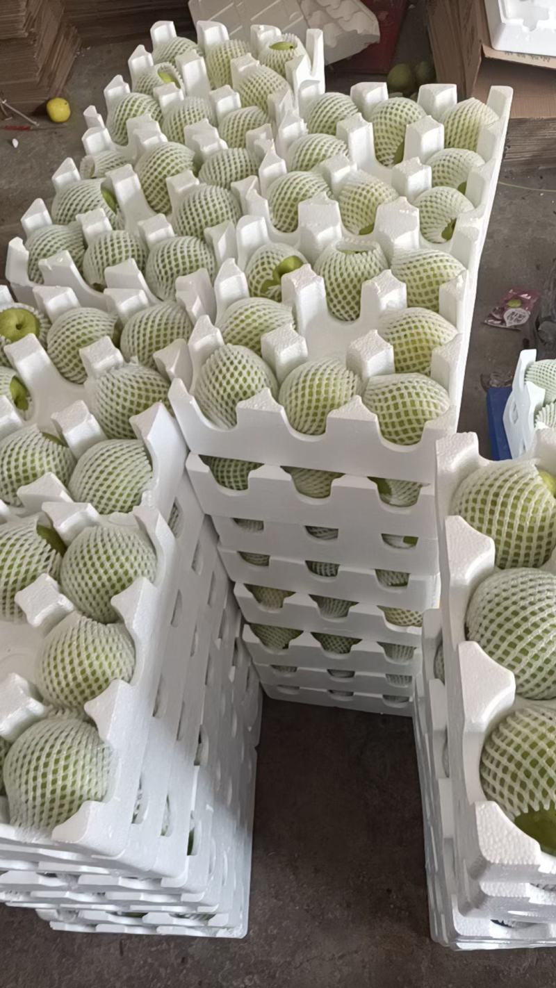 砀山早熟梨