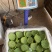 水果特大莲蓬4/6成熟