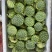 水果特大莲蓬4/6成熟