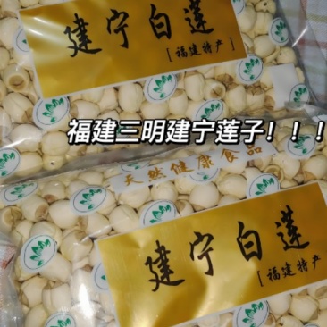 建宁白莲