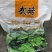 构树芽