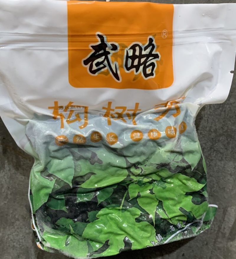 构树芽