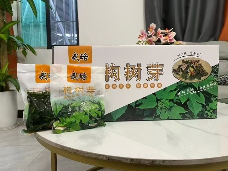 构树芽