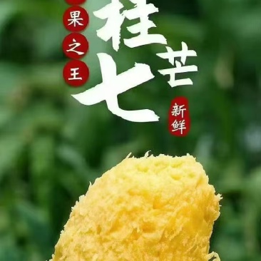 芒果桂七