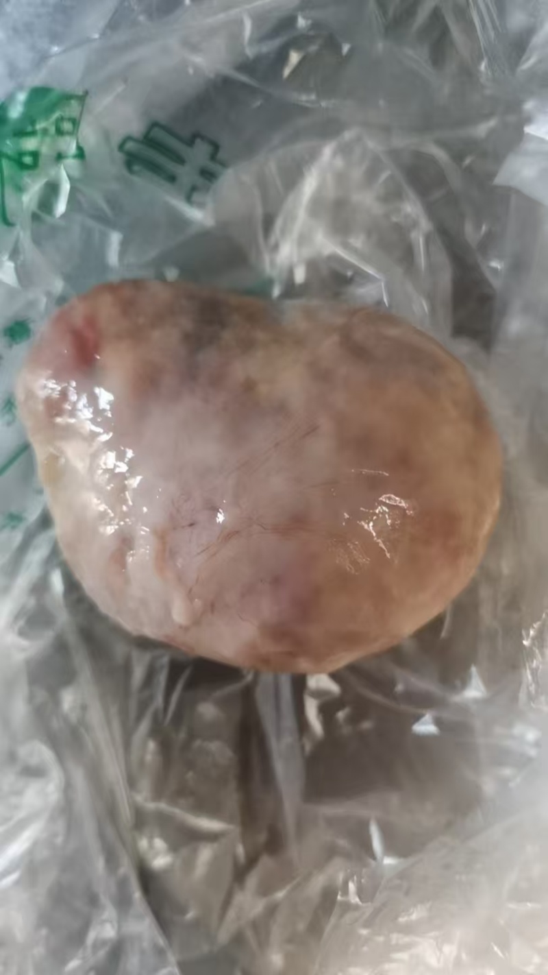 鸡宝
