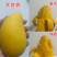 百色芒果🥭