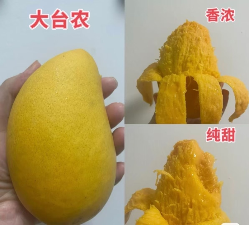 百色芒果🥭