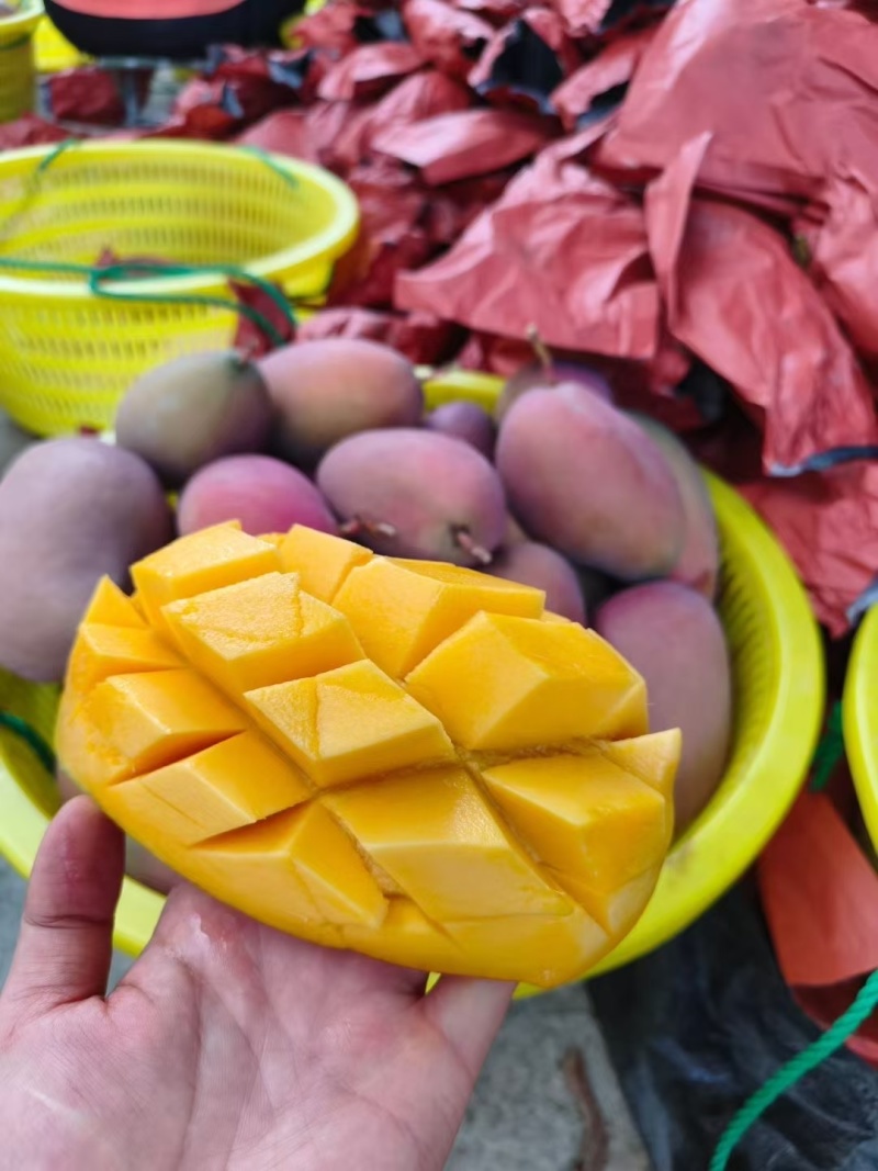 百色芒果🥭